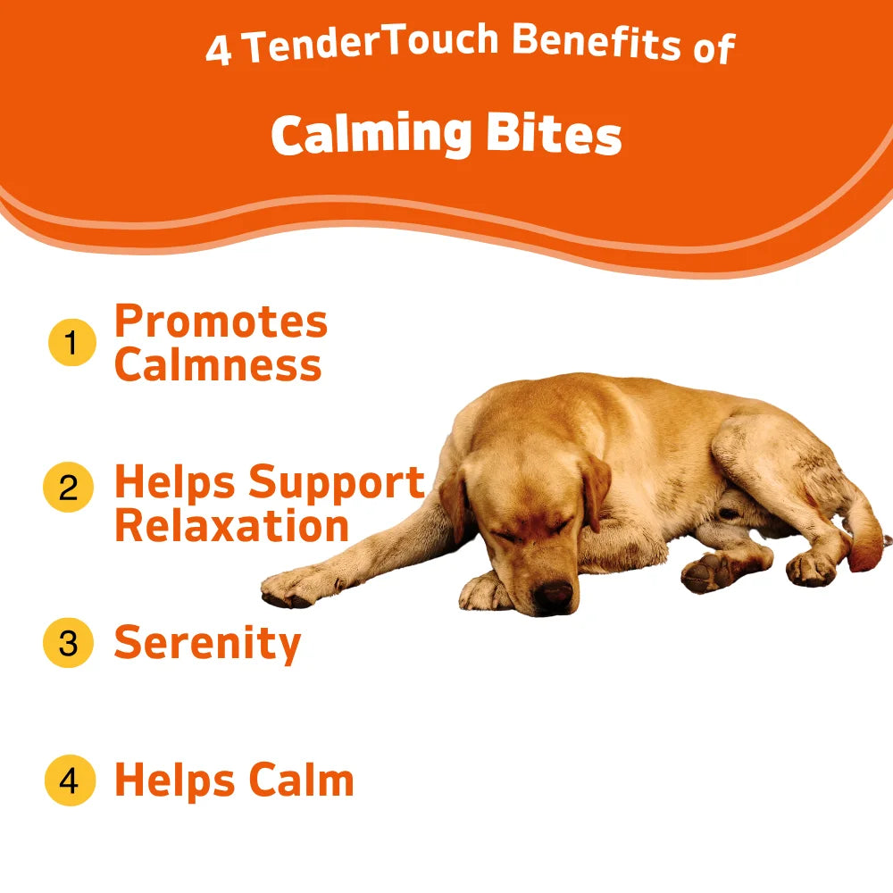 Calming Chews for Dogs Everyday Stress and Anxiety