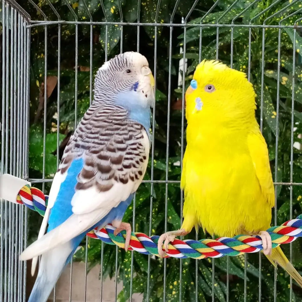 Bird Rope Perch Stand, Birdcage Swing Spiral Toys, Bird Climbing Bungee Rope Perches Chew Toys Cage Accessories for Cockatiels P