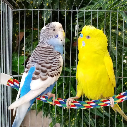 Bird Rope Perch Stand, Birdcage Swing Spiral Toys, Bird Climbing Bungee Rope Perches Chew Toys Cage Accessories for Cockatiels P