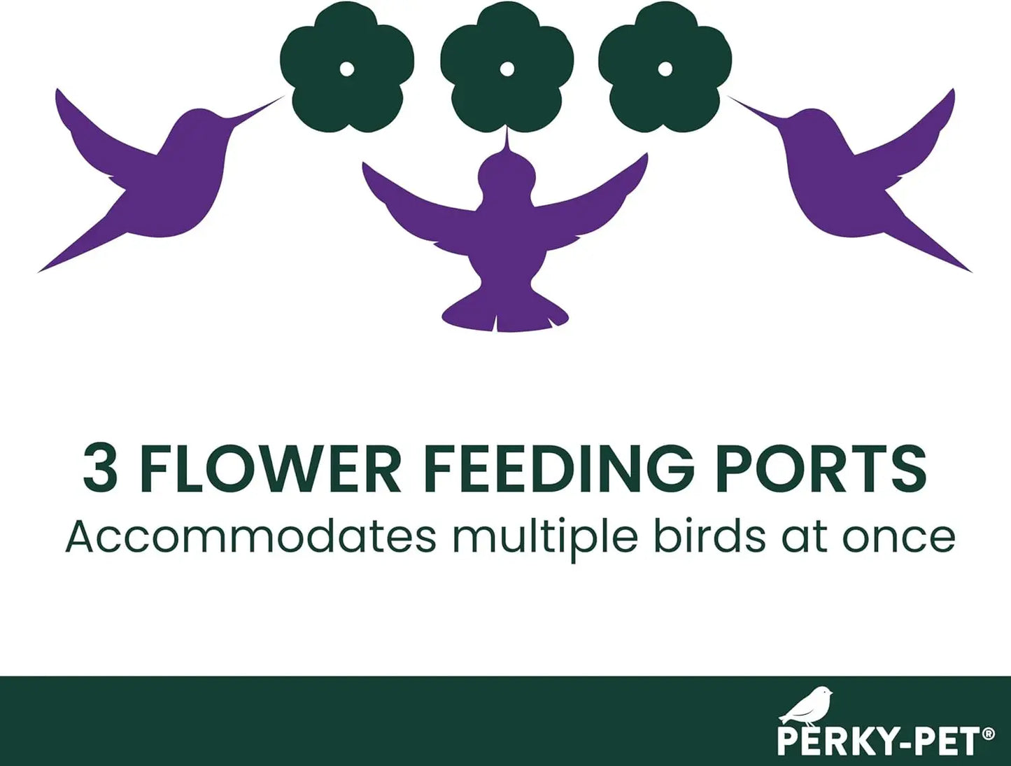 Window Mount Hummingbird Feeder - 8 oz Nectar Capacity, 3 Bee Guard Ports, Suction Cup and Removable Perches, Clear Plastic Shat