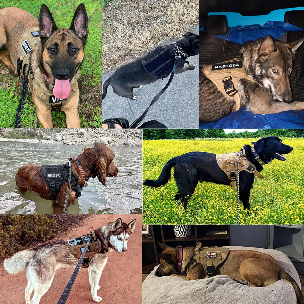 Dog Harness And Leash Set Nylon Padded Quick Release Buckle For Training