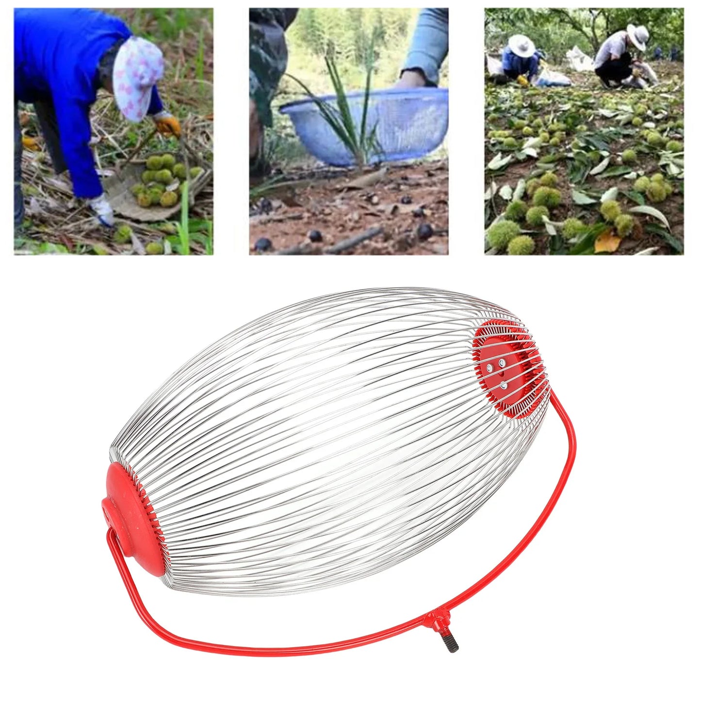 Large Nut Gatherer Nut Gatherer Stainless Steel Wire Nut Collector Picker Upper Roller Fruit Picker for  Ball Acorns Pecans