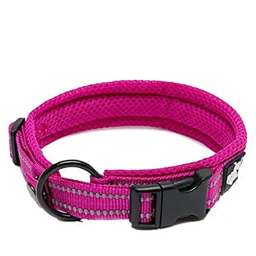 TRUELOVE Padded Nylon Dog Collar Reflective Adjustable Training