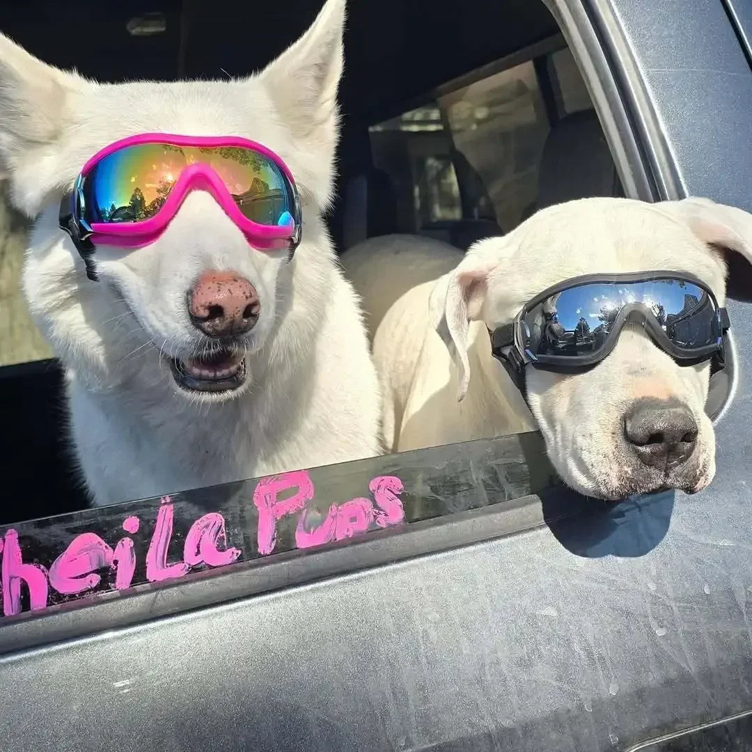 IN Stock Anti-UV Dog Sunglasses Breathable Vent Pet Goggles Windproof Waterproof for Car Riding Beach Outdoor Dogs S M L Sizes