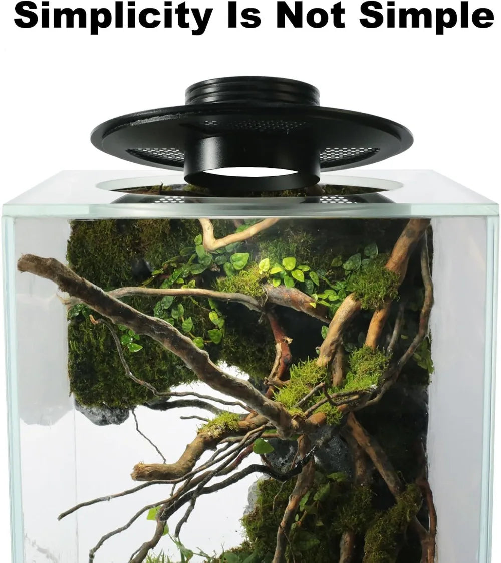 Glass Plant Terrarium with Grow Light, 7.8"L x 7.8"W x 14"H, for Succulents, Moss, Betta Fish Tank, Indoor Garden Decor