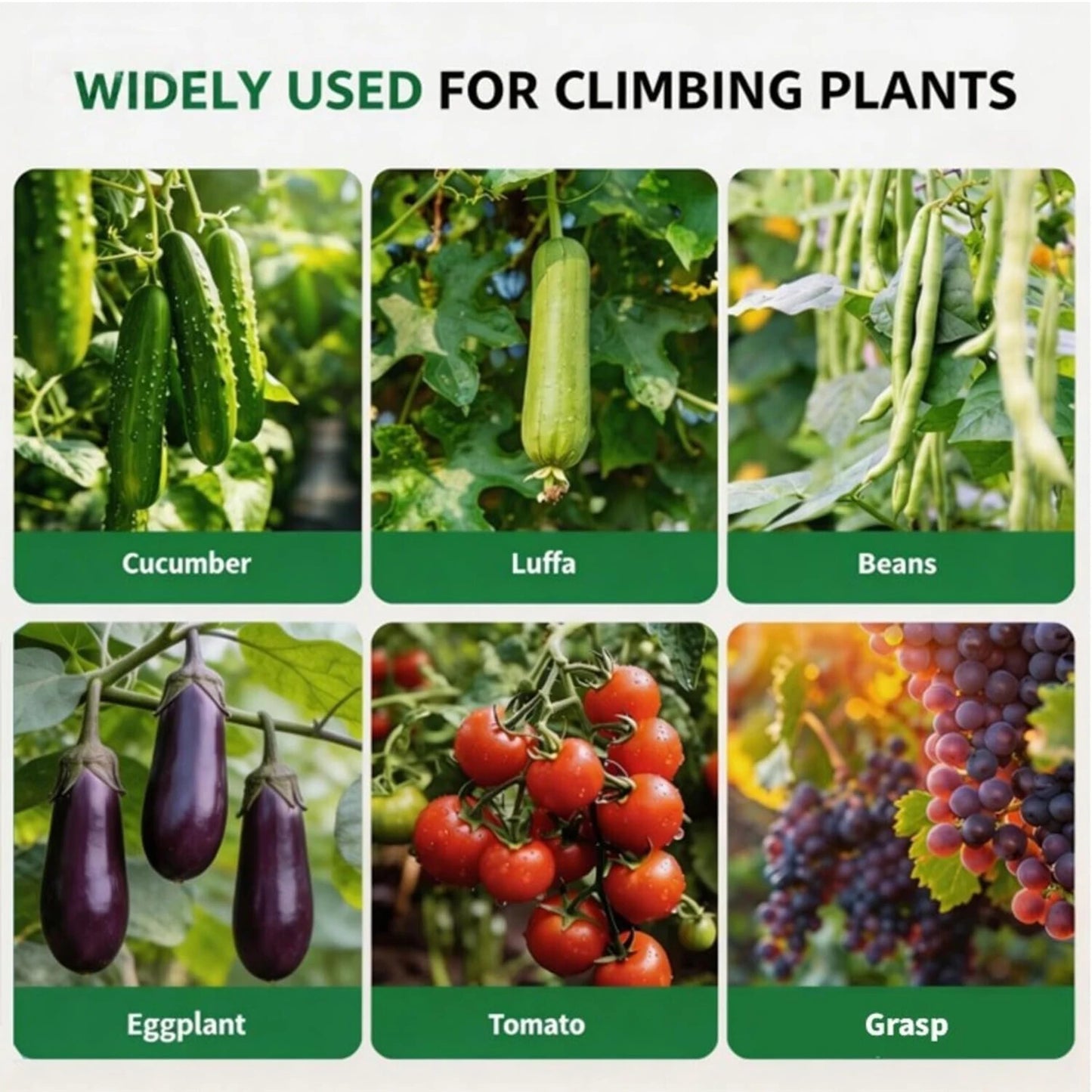 HiMISS Metal Garden Arch Trellis For Climbing Plants Support