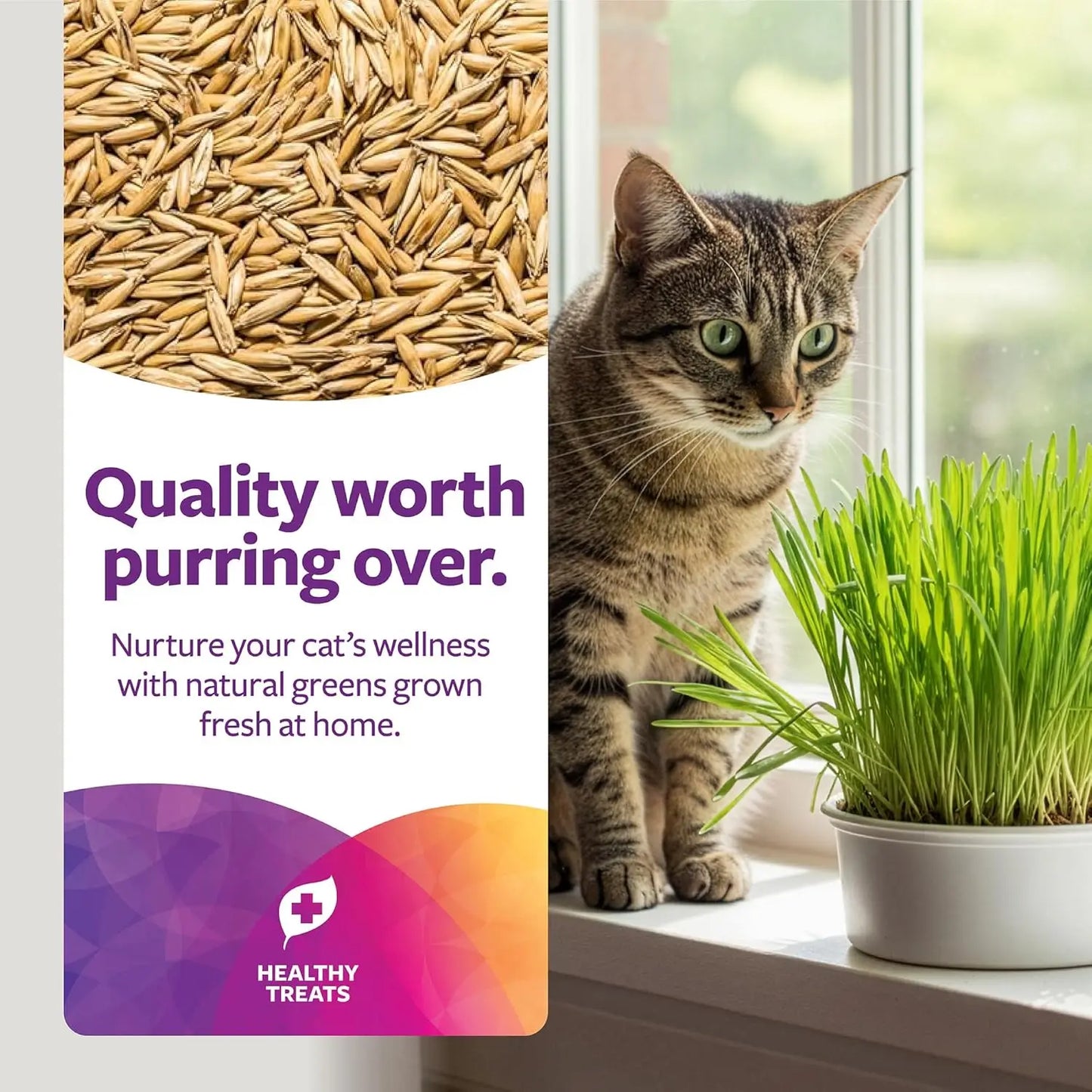 Organic Oat Grass Cat Grow Kit for Digestion Support