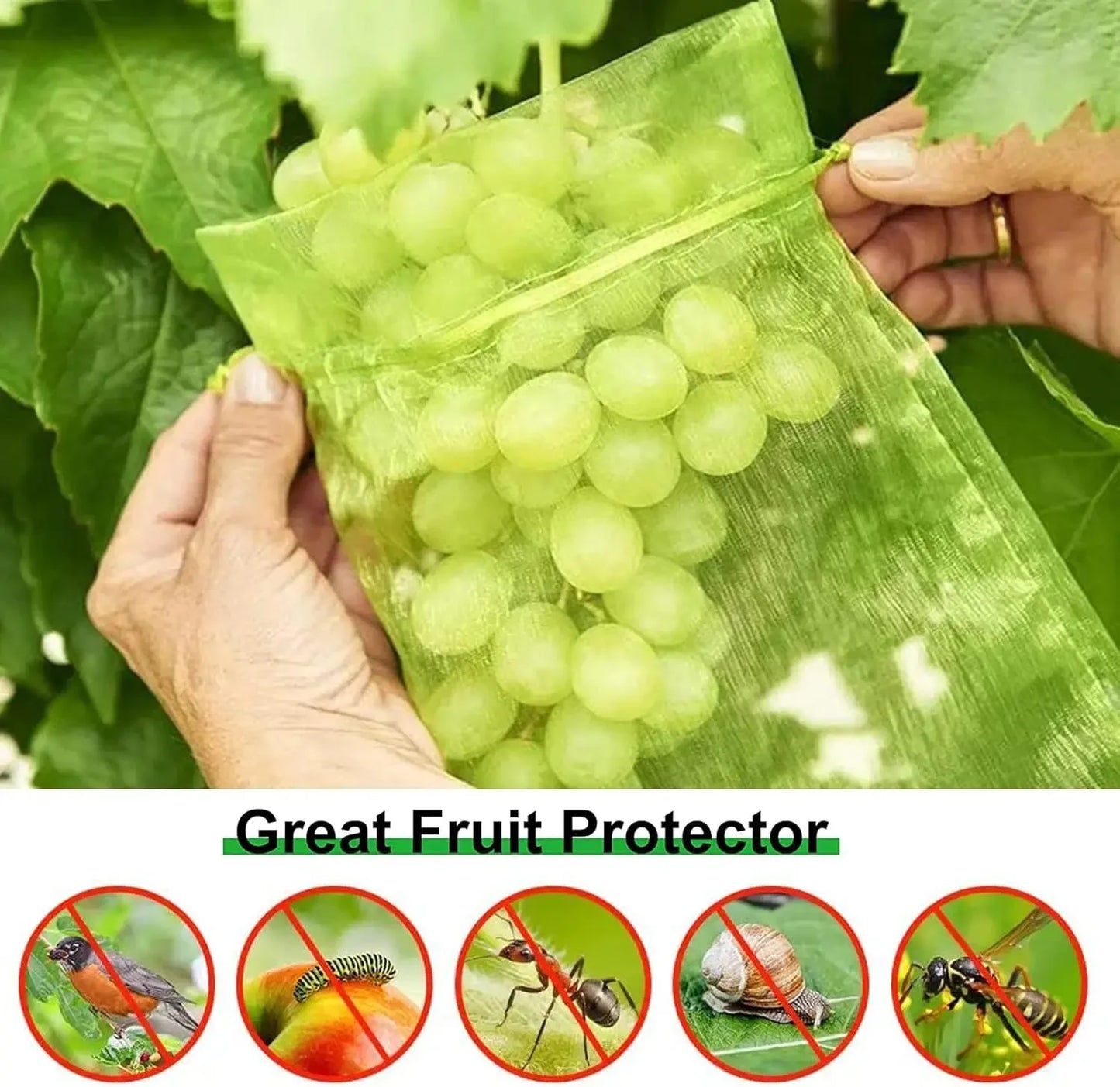 Fruit Protection Bags Mesh BirdGuard For Strawberries And Grapes