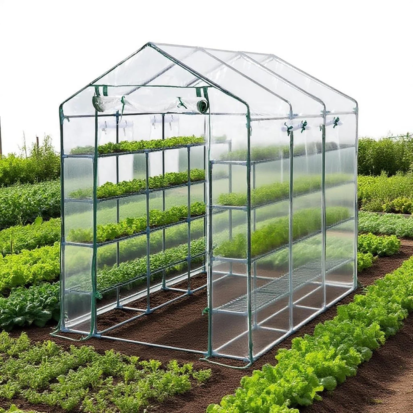 HiMISS Walk In Greenhouse With Eight Shelves And PE Cover