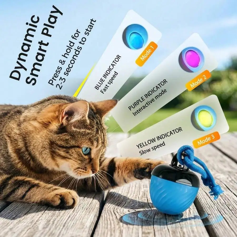 Interactive Dog Ball Toy With Rope Rolling Pet Toy