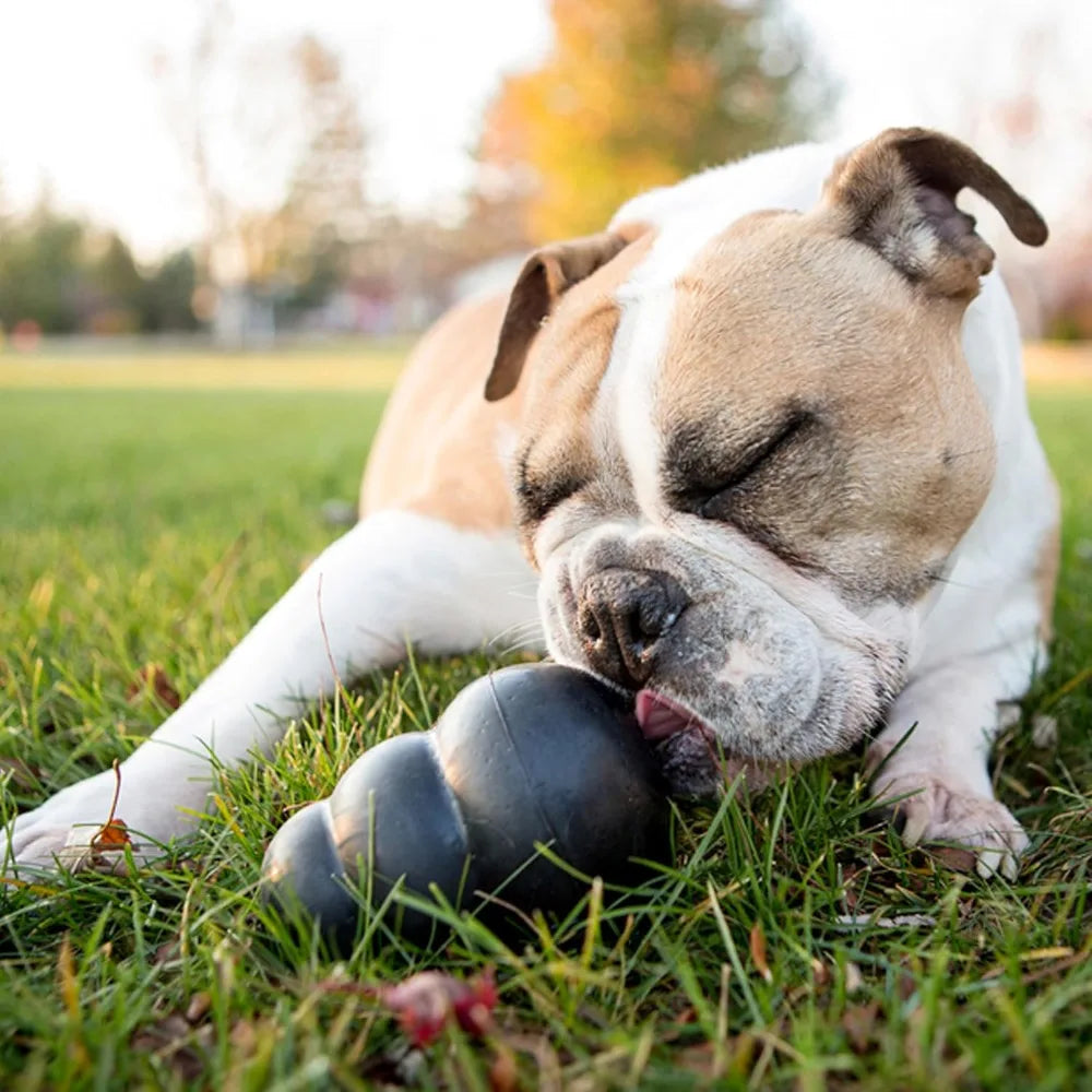 Durable Treat Filling Fetch And Chew Toy For Large Power Chewers Natural Rubber