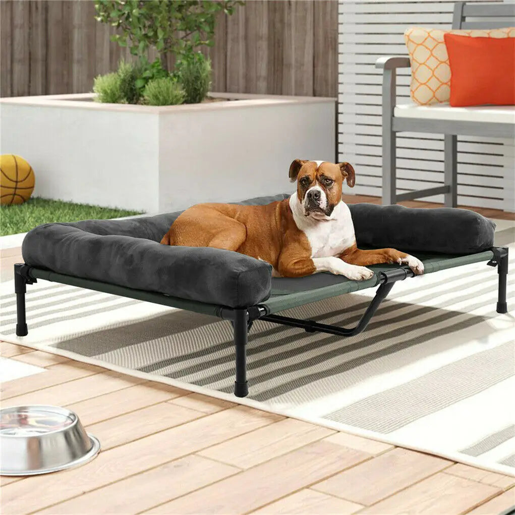 BINGOPAW Elevated Pet Bed Lounger For Indoor And Outdoor