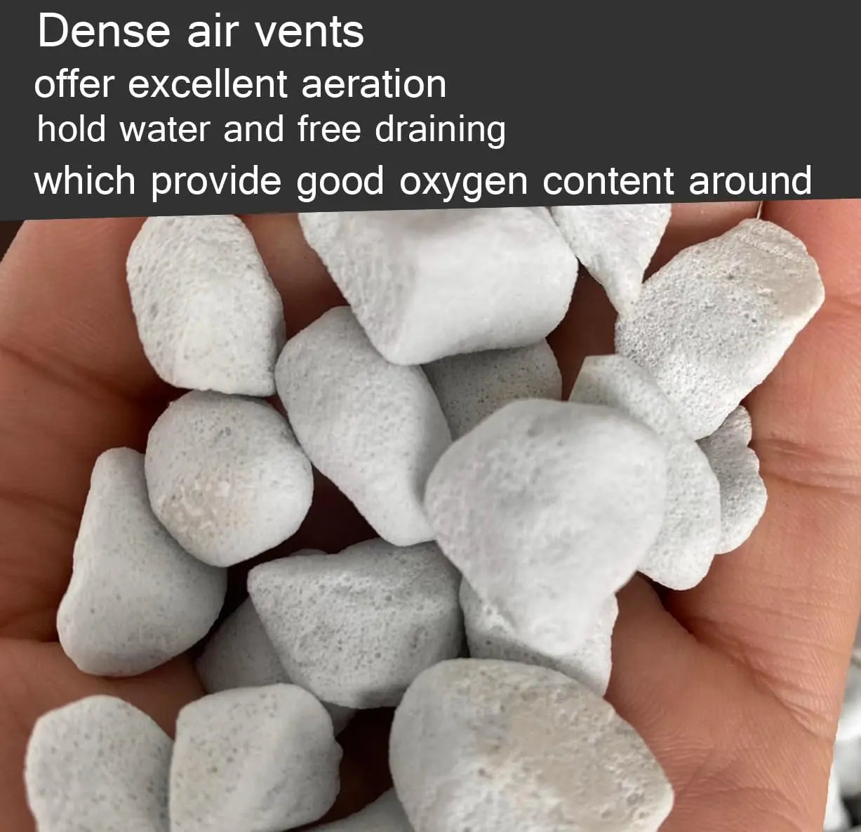 Organic Perlite Soil Amendment for Plants Enhanced Drainage and Growth