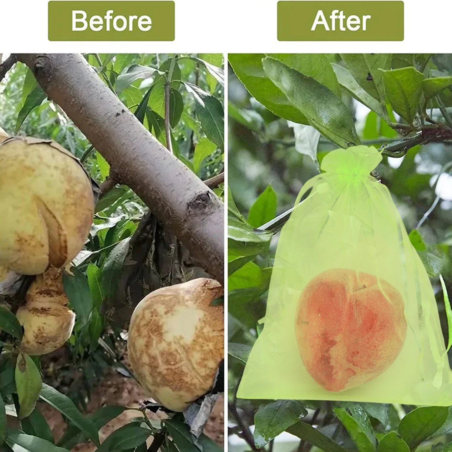 Fruit Protection Bags Mesh BirdGuard For Strawberries And Grapes