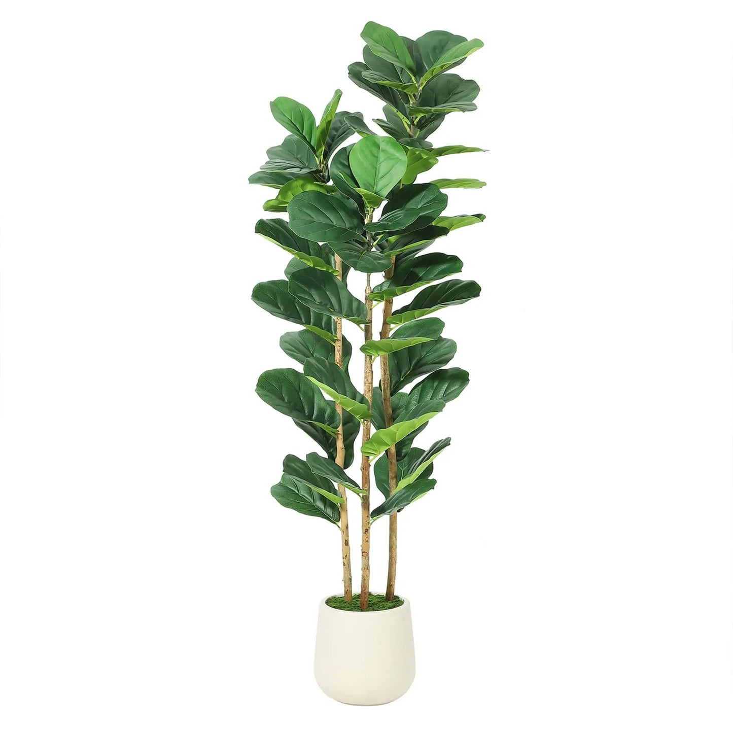 Artificial Fiddle Leaf Fig Tree with White Planter, 5/6/7 ft Tall Fake Plant with Natural Wood Trunk, Faux Ficus Tree Potted Moss for Home Office Living Room Decor