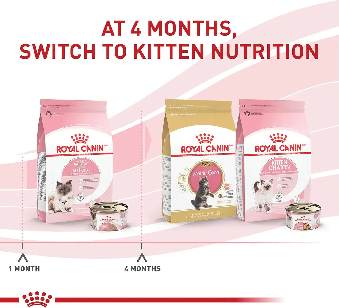 Ultra Soft Mousse Cat Food For Mother And Kittens Nutrient Rich Sauce