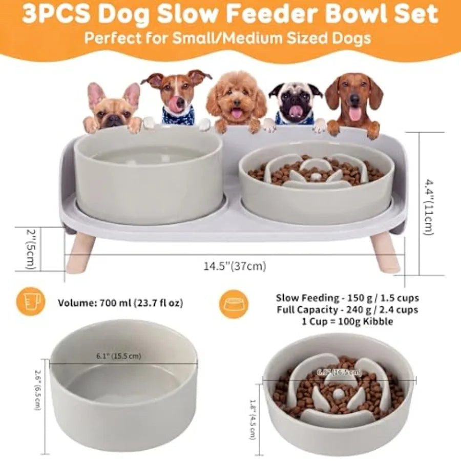 Elevated Slow Feeder Dog Bowls Plastic Food And Water With Stand