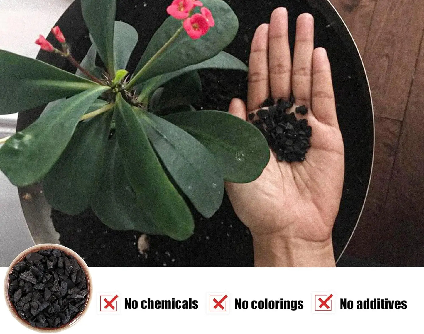 Premium Horticultural Charcoal for Potted Plants and Terrariums
