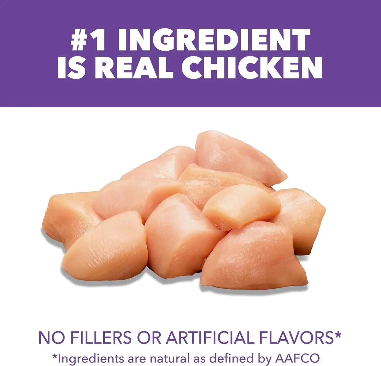 Healthy Kitten Dry Cat Food With Real Chicken For Kittens
