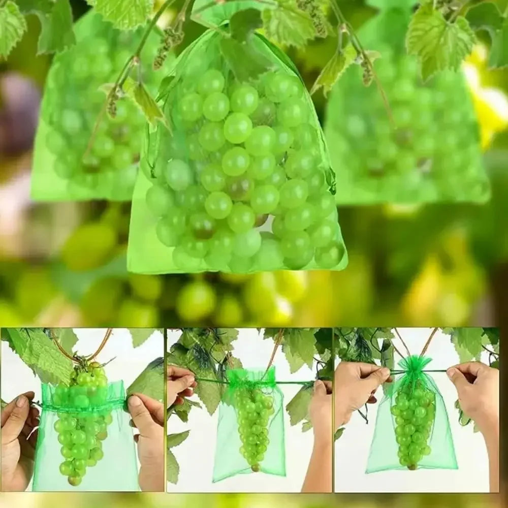Fruit Protection Bags Mesh BirdGuard For Strawberries And Grapes