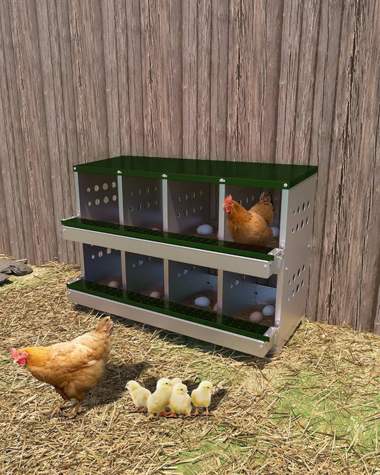 TWISTER.CK Metal Chicken Coop Nesting Box With Rollout Egg Collection