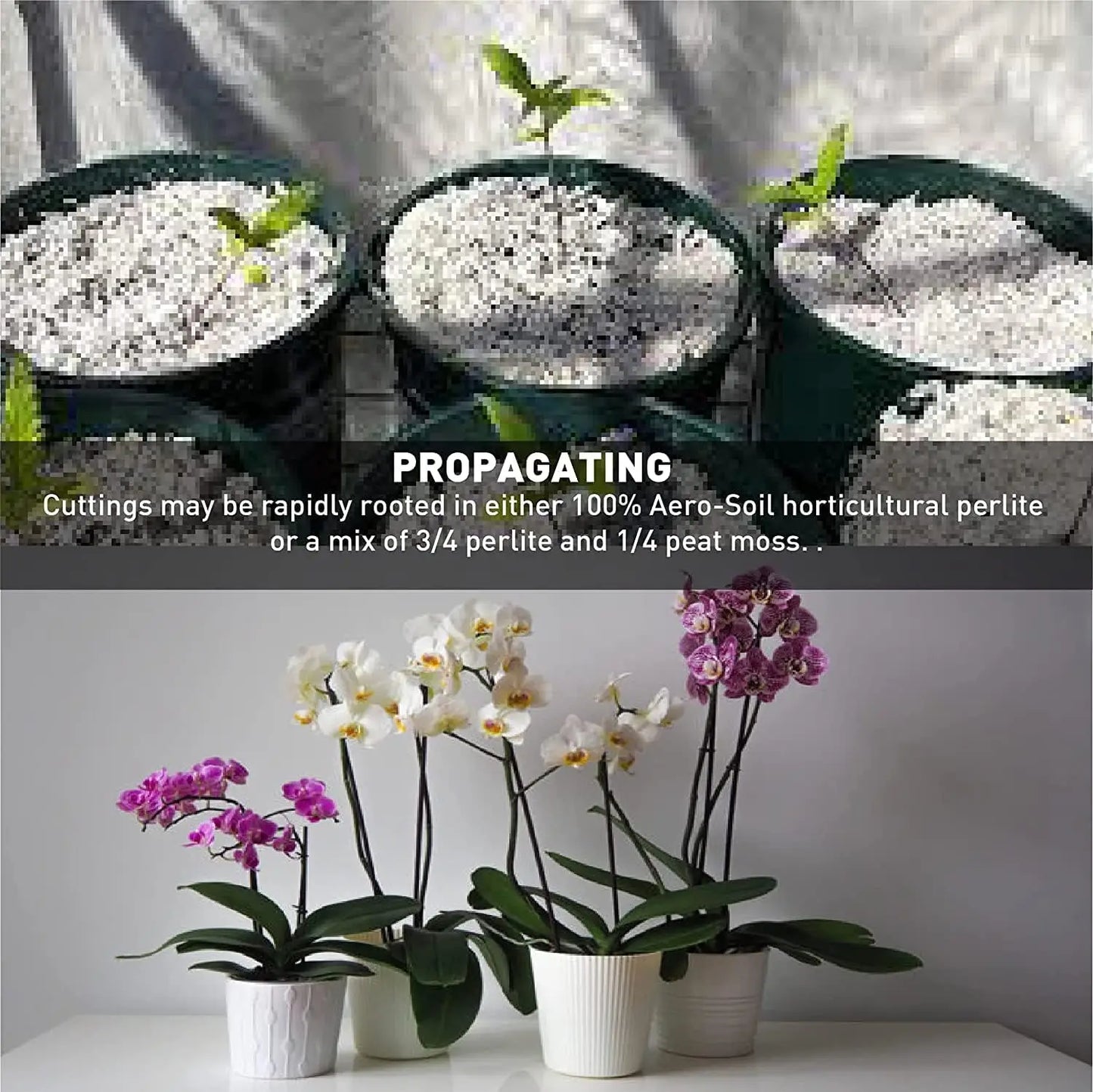Premium Horticultural Perlite for Drainage and Plant Growth