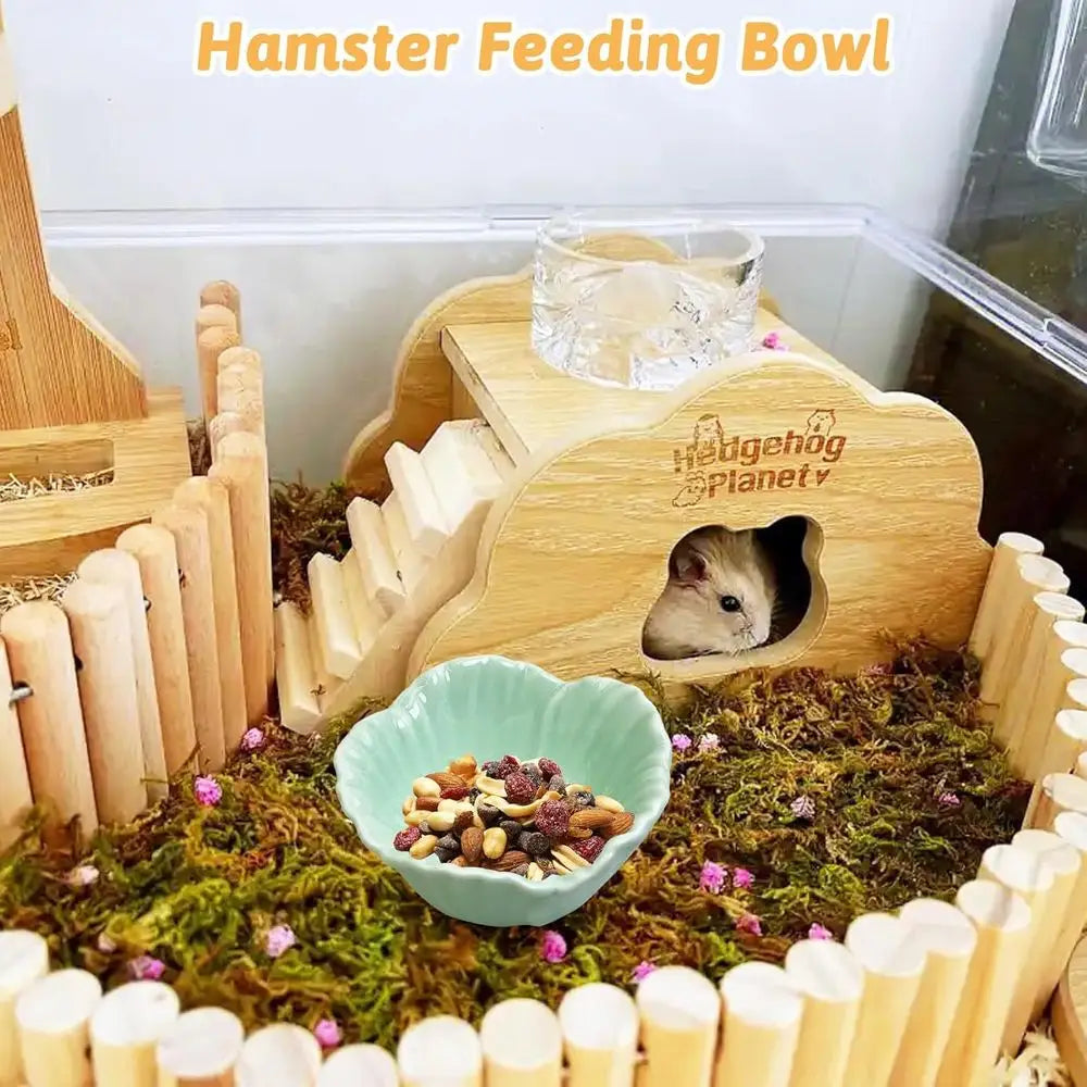2 Pcs Pet Hamster Bowl, Dwarf Hamster Food Bowl, Small Animal Food Dish for Guinea Pigs, Hedgehogs, Mice, Pygmy Hamsters, Cheeky