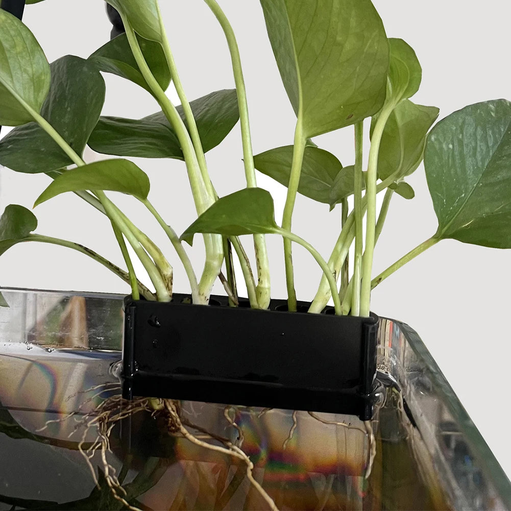 Aquarium Plant Support Basket With Hook Rack For Fish Tank