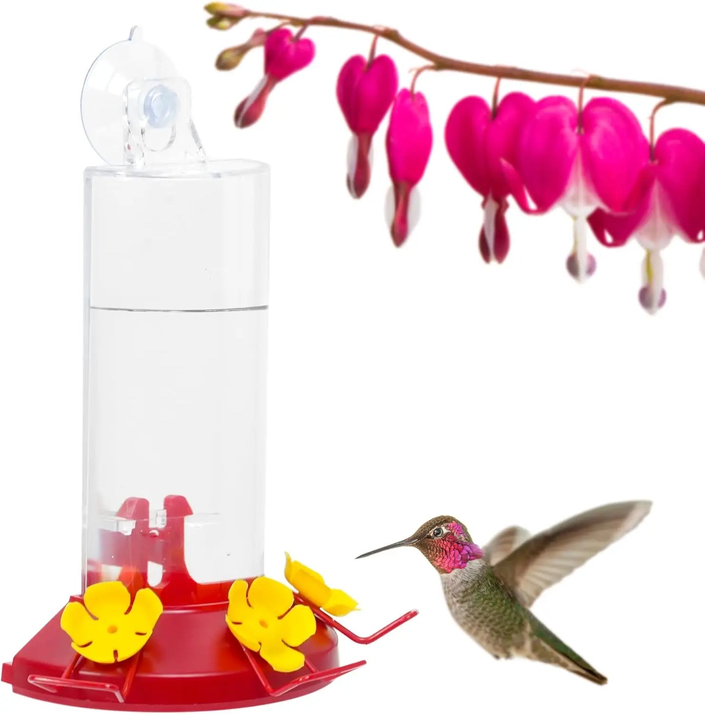 Window Mount Hummingbird Feeder - 8 oz Nectar Capacity, 3 Bee Guard Ports, Suction Cup and Removable Perches, Clear Plastic Shat