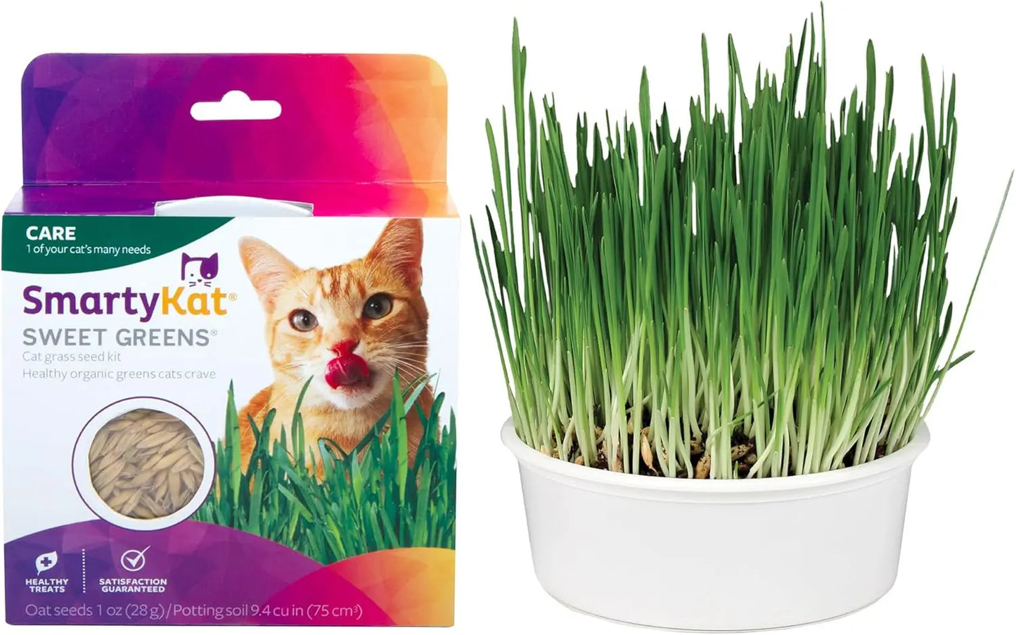Organic Oat Grass Cat Grow Kit for Digestion Support