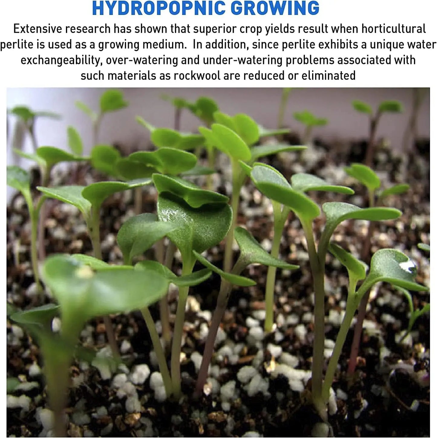 Premium Horticultural Perlite for Drainage and Plant Growth