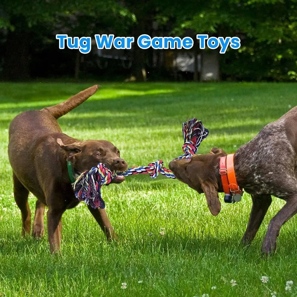 Heavy Duty Dog Rope Toys for Aggressive Chewers 2 Pack