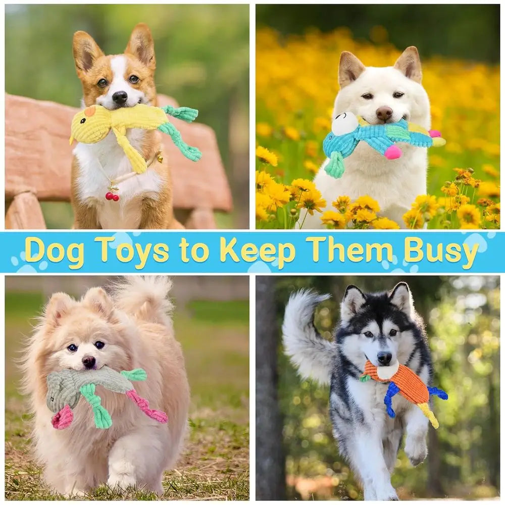 Squeaky Dog Toys Bundle Ox Bear Elephant Duck Lamb