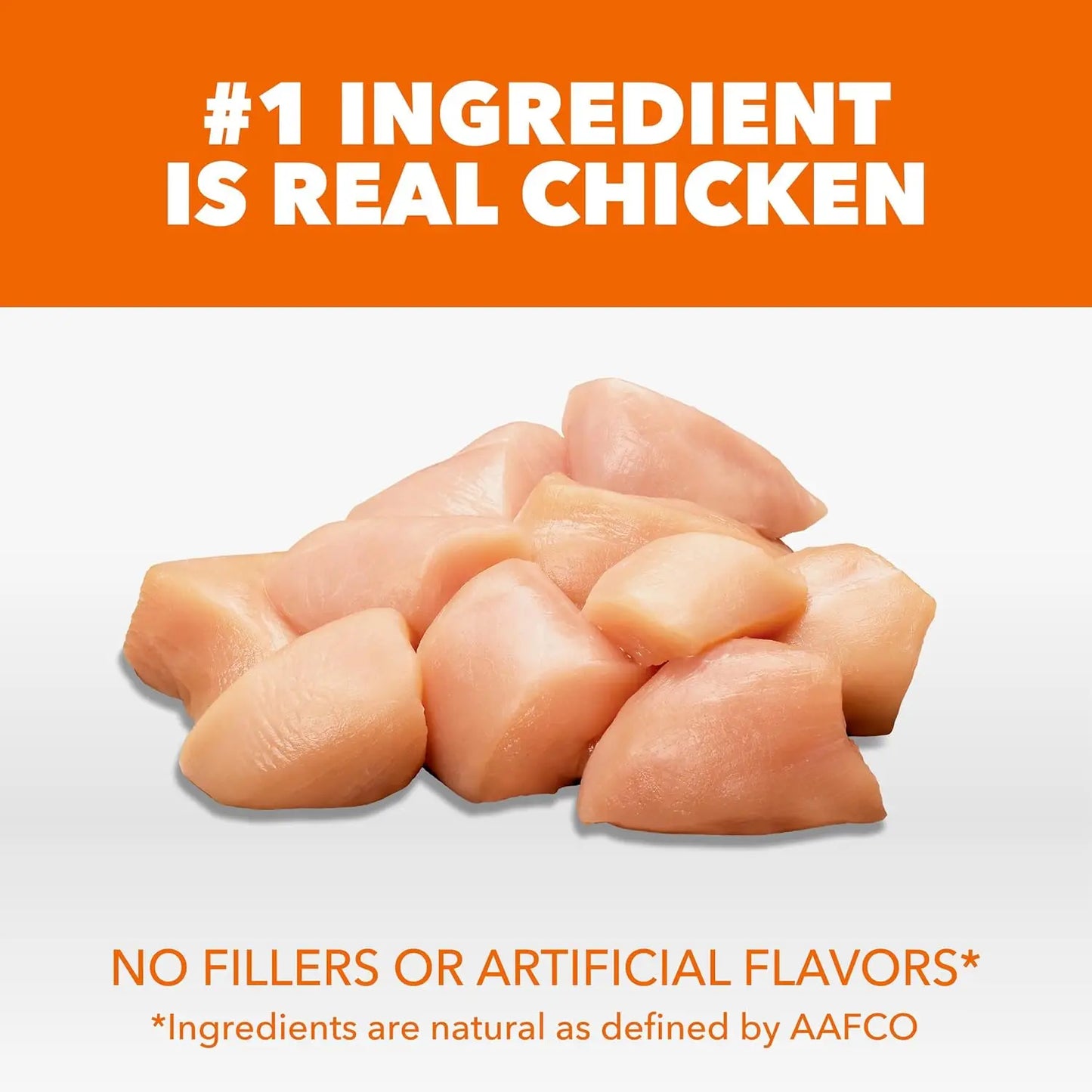 Proactive Health Dry Cat Food for Adult Cats Chicken Recipe