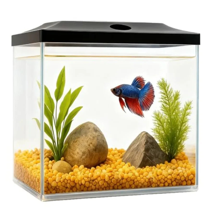 0.8-Gallon Cube Small Fish Tank, Shatterproof Plastic Fish Tank with LED Lighting, Temporary Fish Bowl for Fry, Isolation, Educ