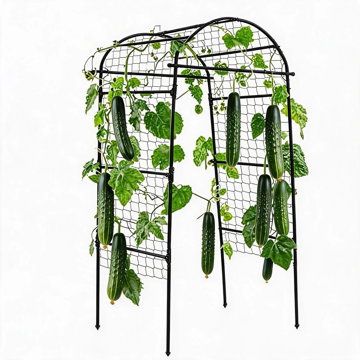 Hmiss Heavy Duty Metal Garden Arch Trellis for Climbing
