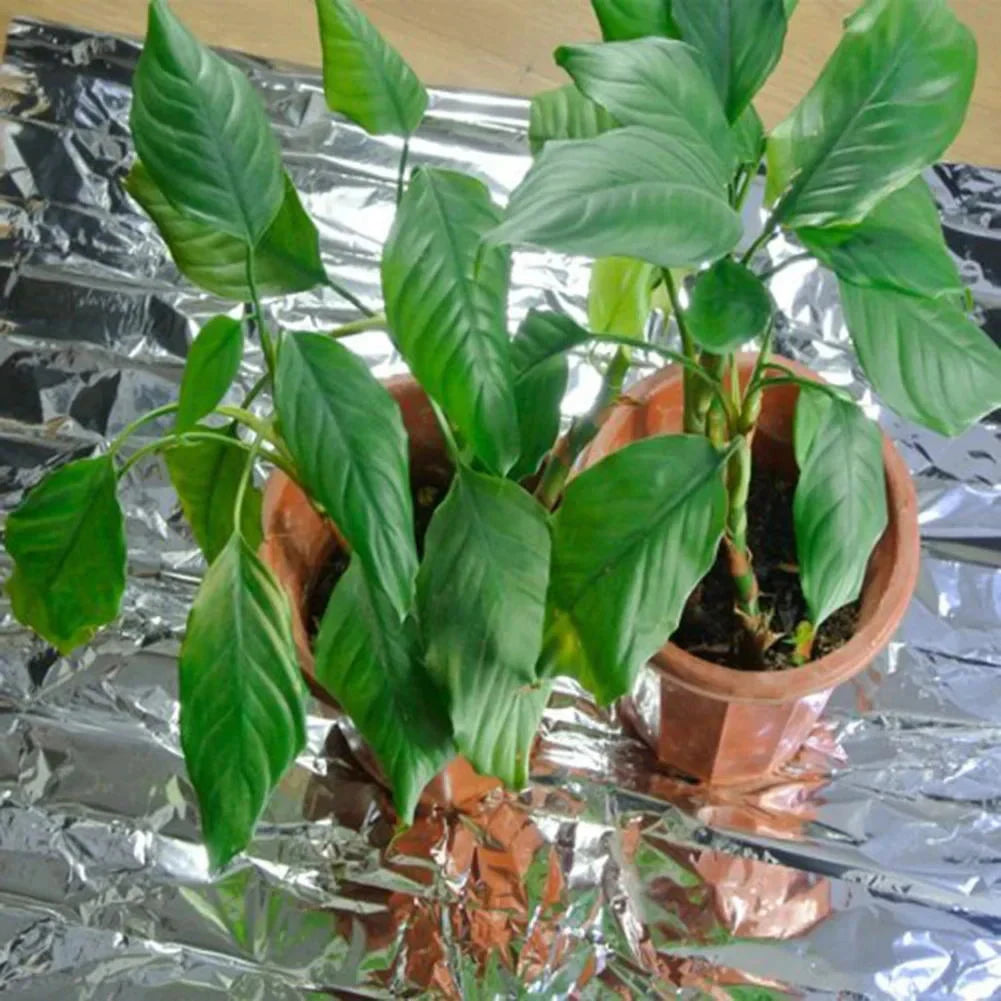 Hydroponic Reflective Plant Cover Film For Garden Greenhouse