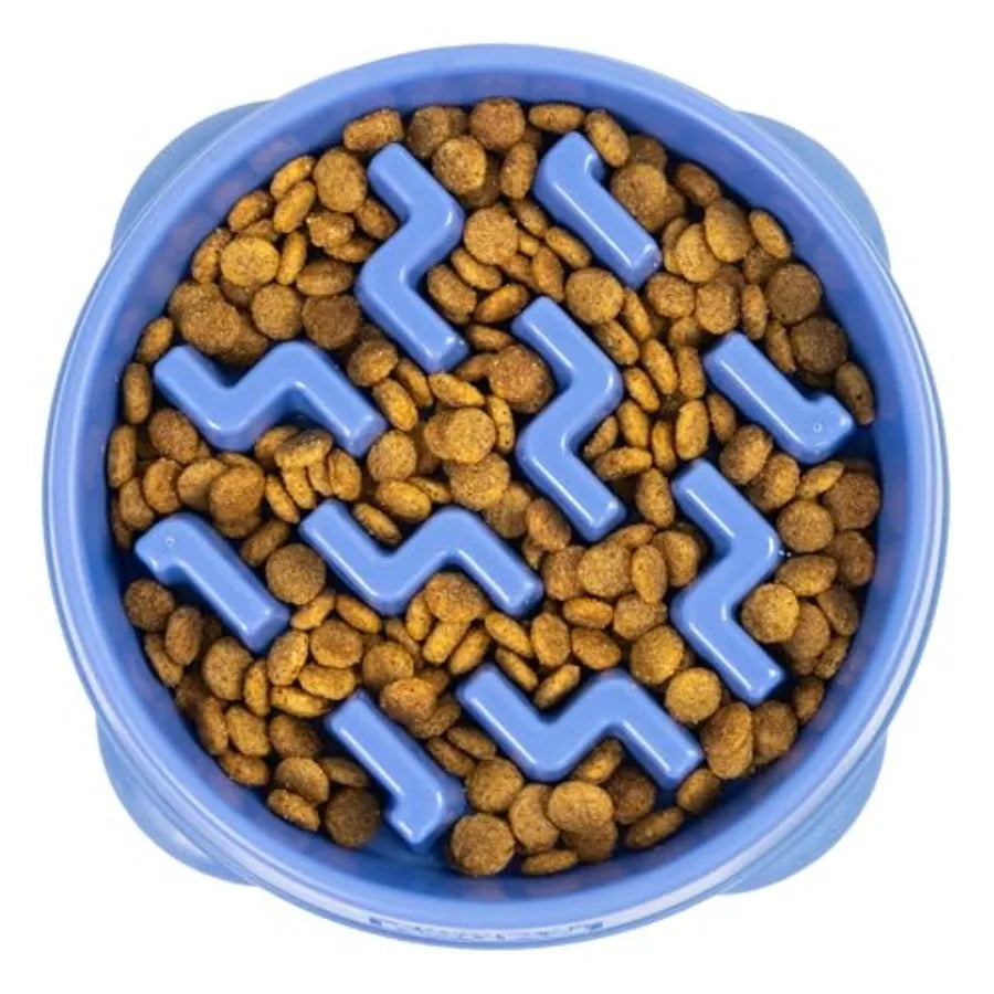 Fun Feeder Slow Bowl 4 Cup Capacity Non Slip Notch