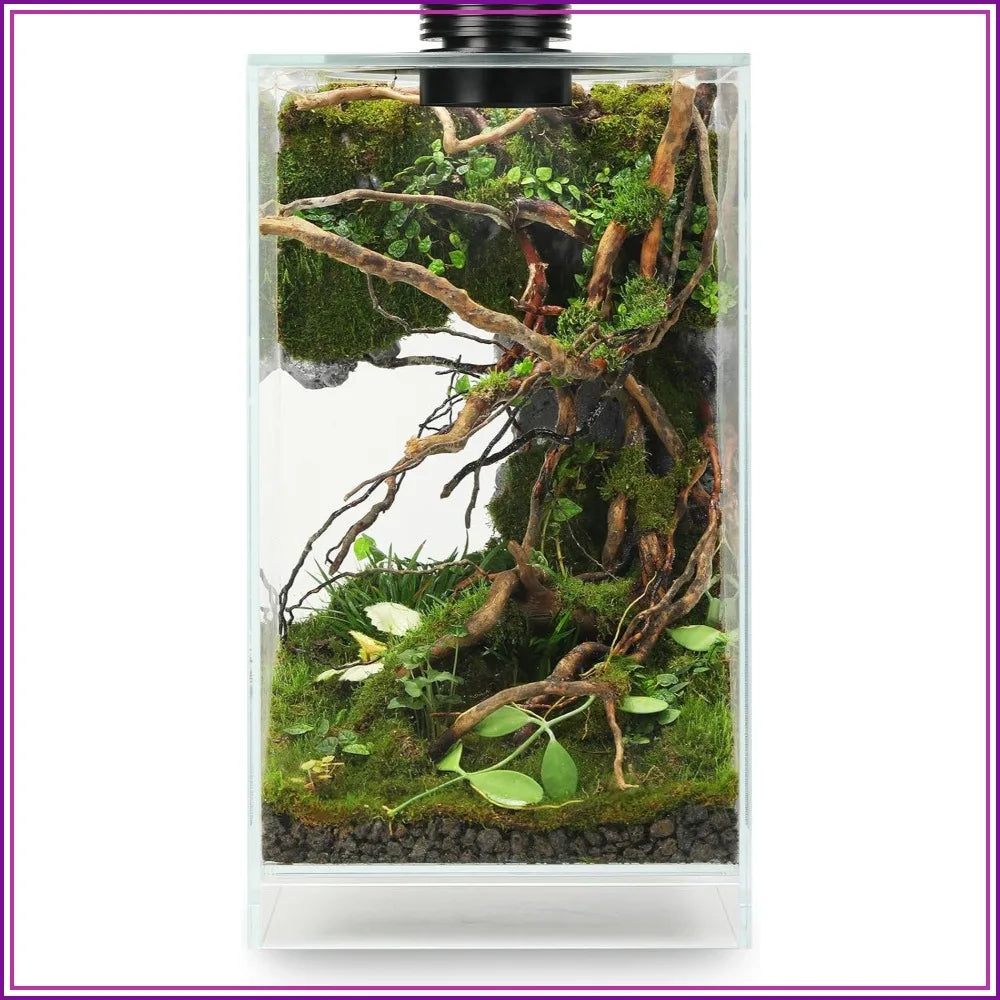 Glass Plant Terrarium with Grow Light, 7.8"L x 7.8"W x 14"H, for Succulents, Moss, Betta Fish Tank, Indoor Garden Decor