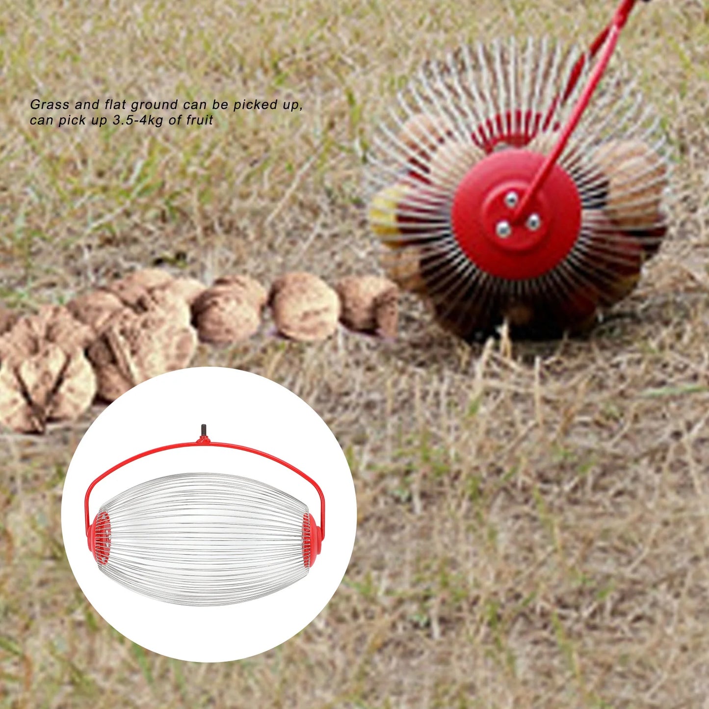 Large Nut Gatherer Nut Gatherer Stainless Steel Wire Nut Collector Picker Upper Roller Fruit Picker for  Ball Acorns Pecans