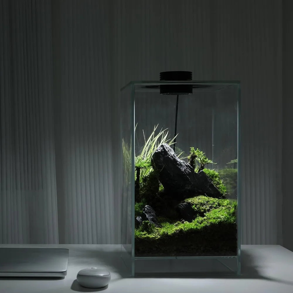 Glass Plant Terrarium with Grow Light, 7.8"L x 7.8"W x 14"H, for Succulents, Moss, Betta Fish Tank, Indoor Garden Decor