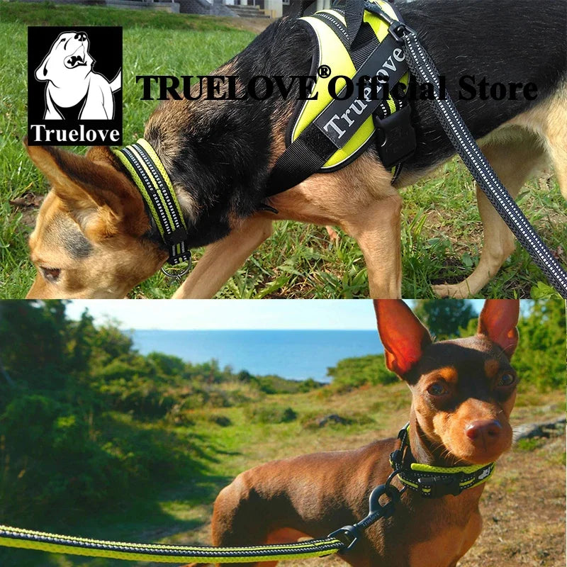 TRUELOVE Padded Nylon Dog Collar Reflective Adjustable Training