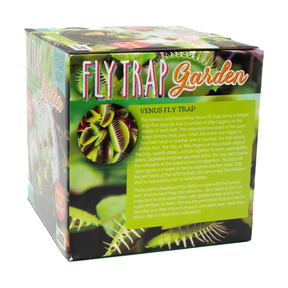 Glass Terrarium Fly Trap Garden Kit For Carnivorous Plants