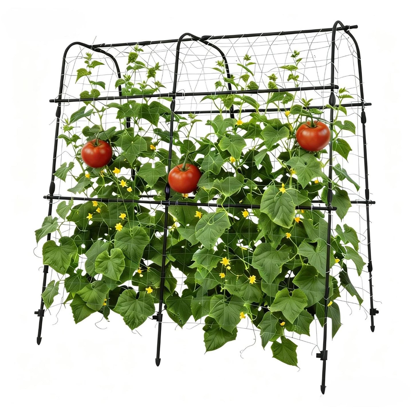HiMISS Metal Garden Arch Trellis For Climbing Plants Support