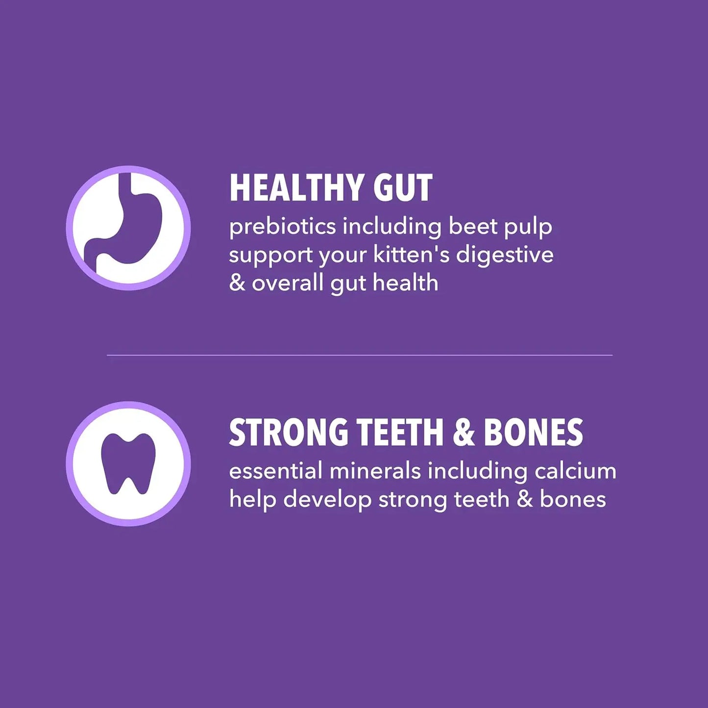 Healthy Kitten Dry Cat Food With Real Chicken For Kittens