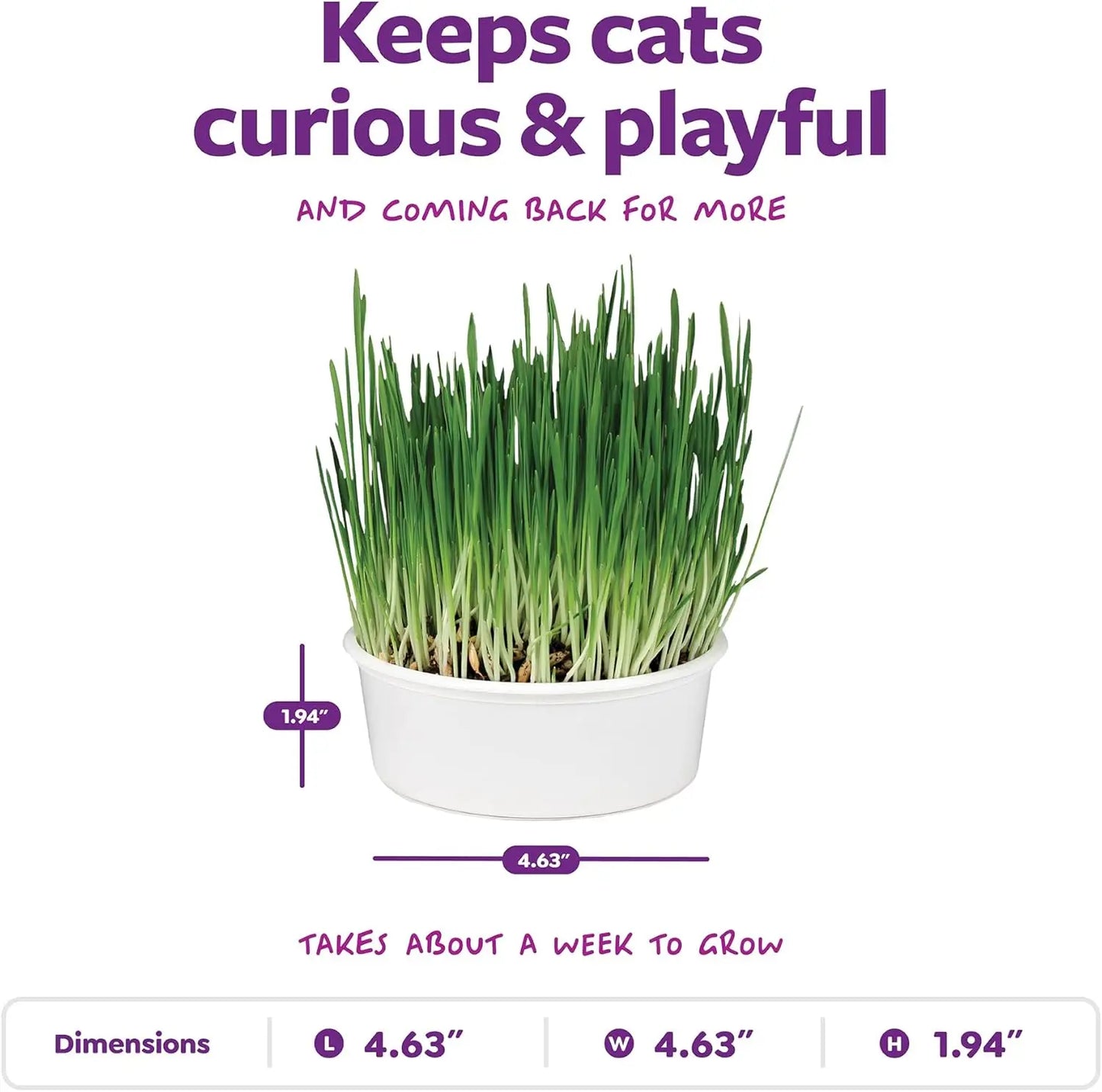 Organic Oat Grass Cat Grow Kit for Digestion Support