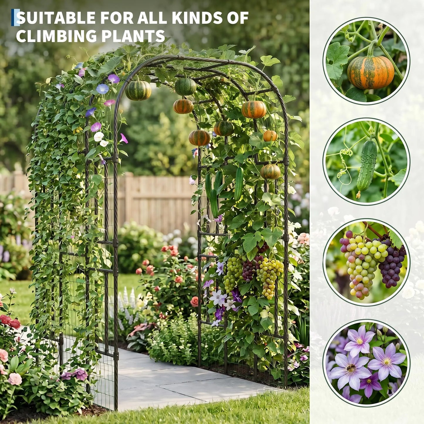 DishyKooker Heavy Duty Steel Garden Arch Trellis Plant Arbor