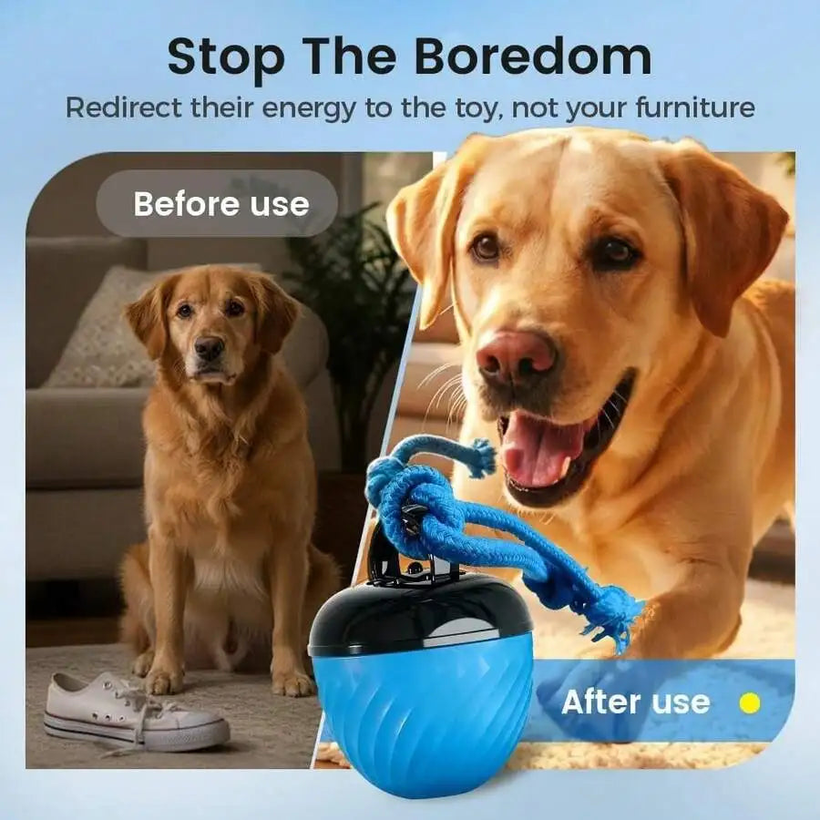 Interactive Dog Ball Toy With Rope Rolling Pet Toy