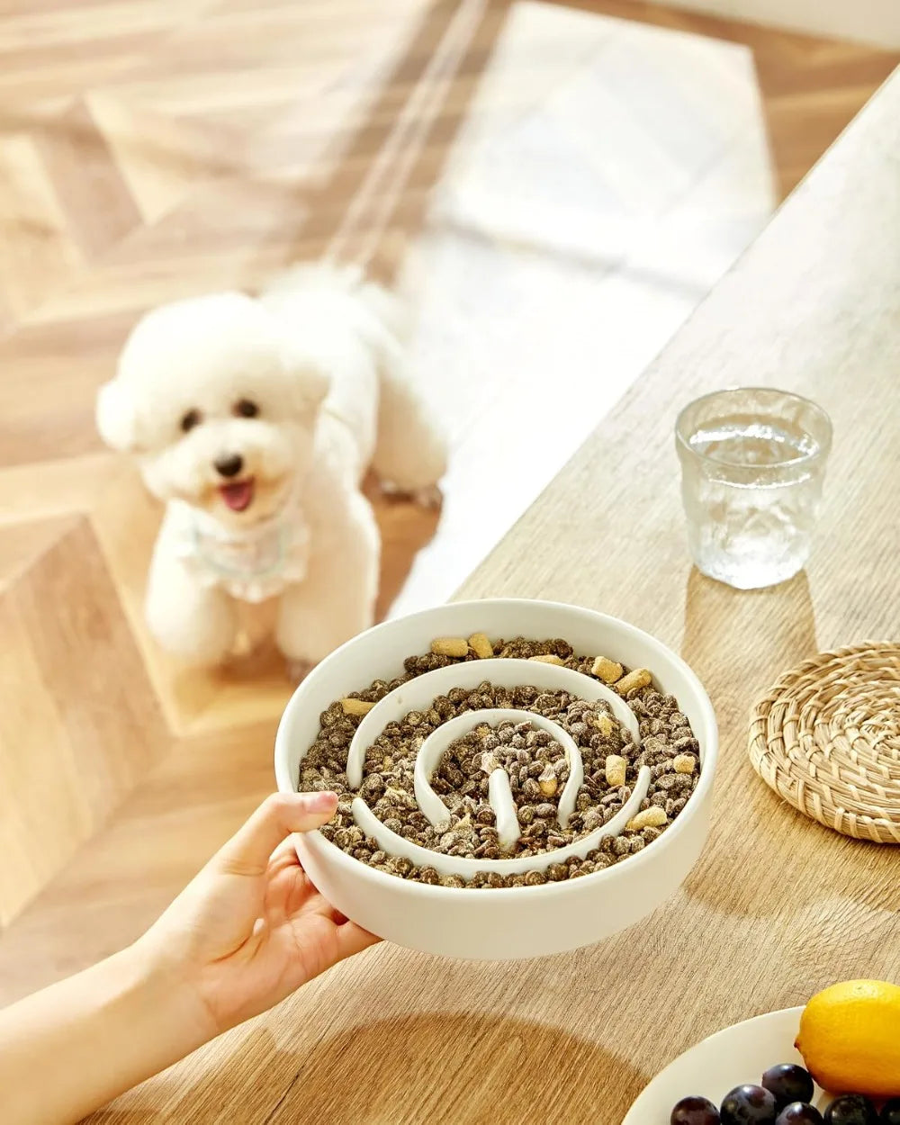 Ceramic Slow Feeder Dog Bowl Puzzle Maze for Medium Dogs