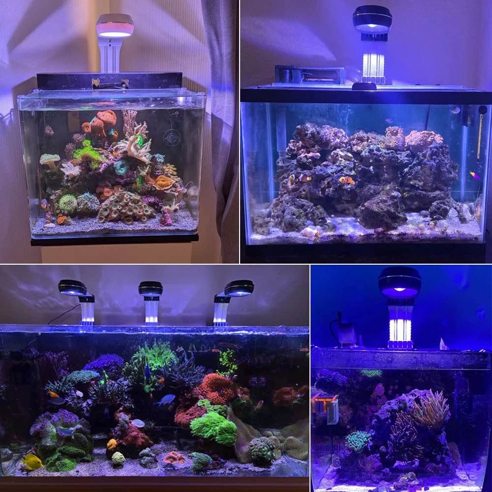 PopBloom Marine Reef Aquarium LED Light 60W 100W For SPS